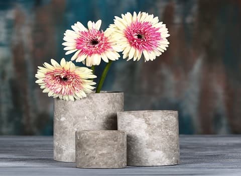 https://shp.aradbranding.com/قیمت خرید گلدان سنگی طبیعی عمده به صرفه و ارزان